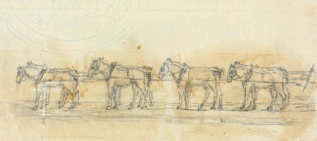 Horses,19th century artwork