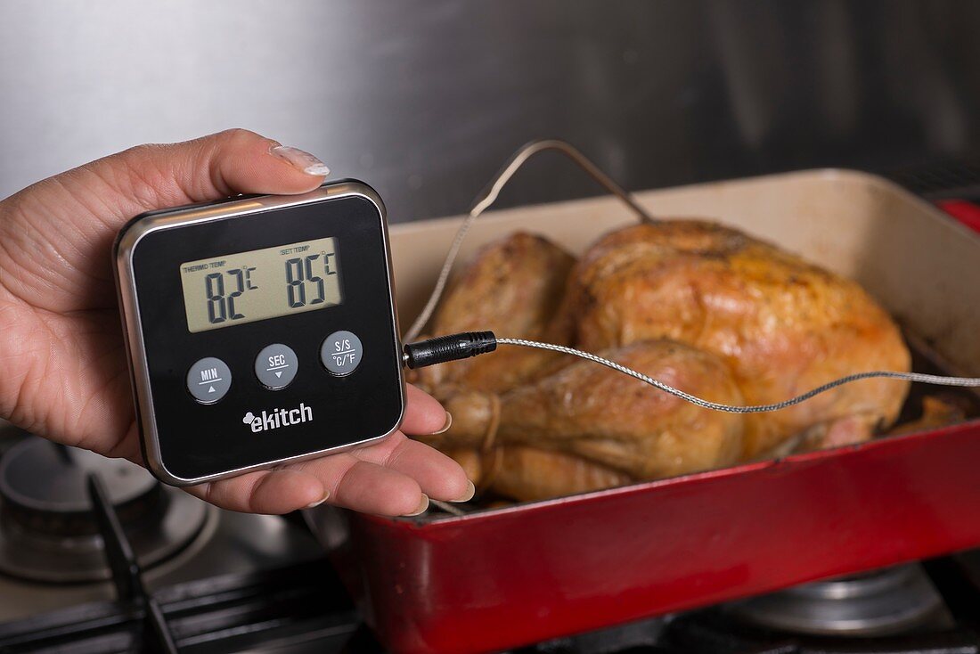 Digital food thermometer and chicken