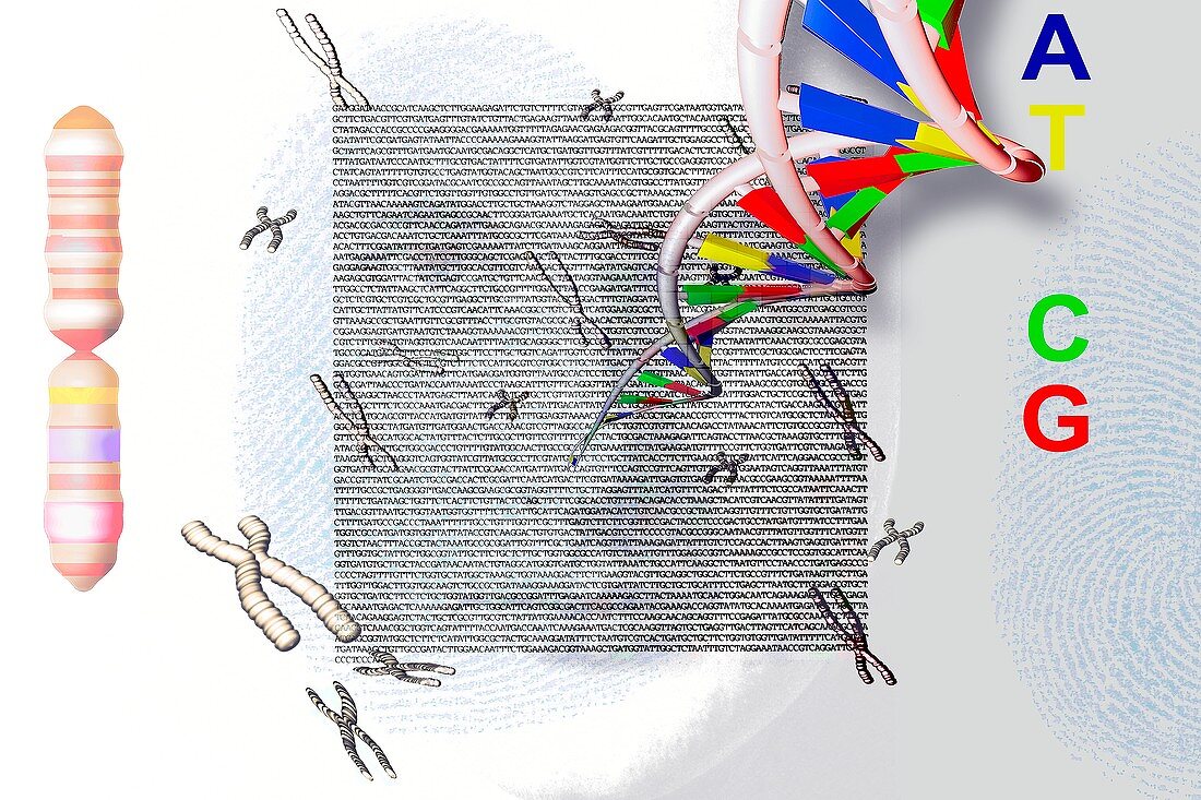 Genetic fingerprints,conceptual artwork