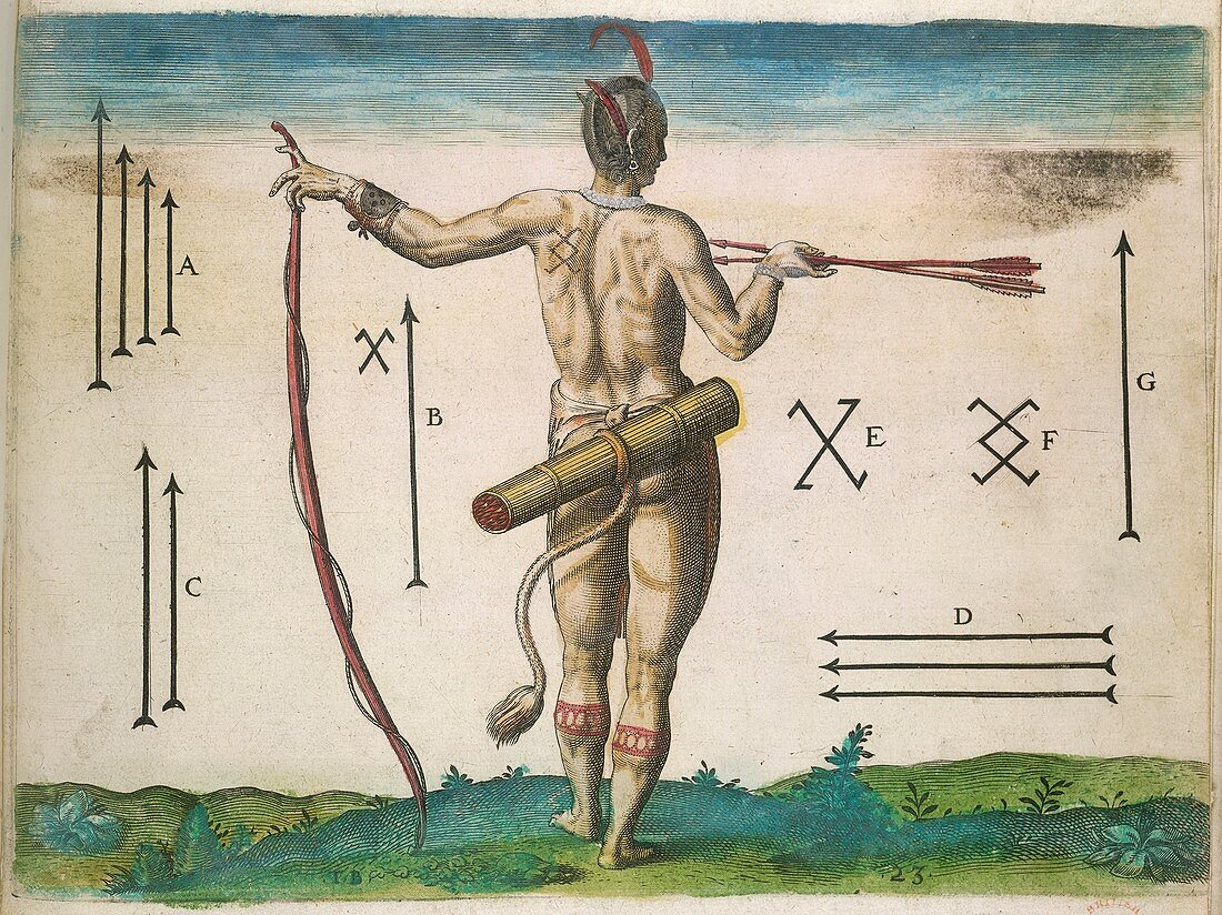 Native American chief,16th century