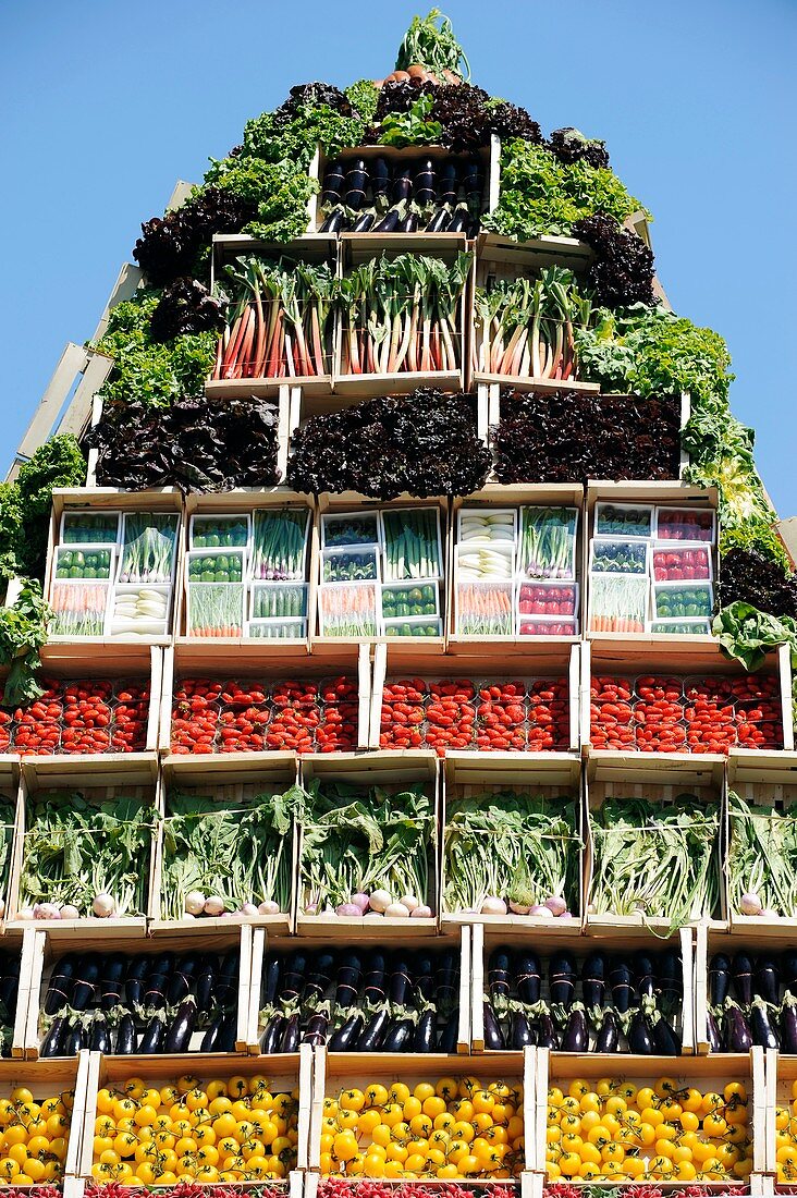 Vegetable pyramid