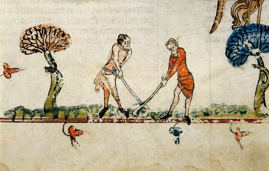 Ball game,14th-century manuscript