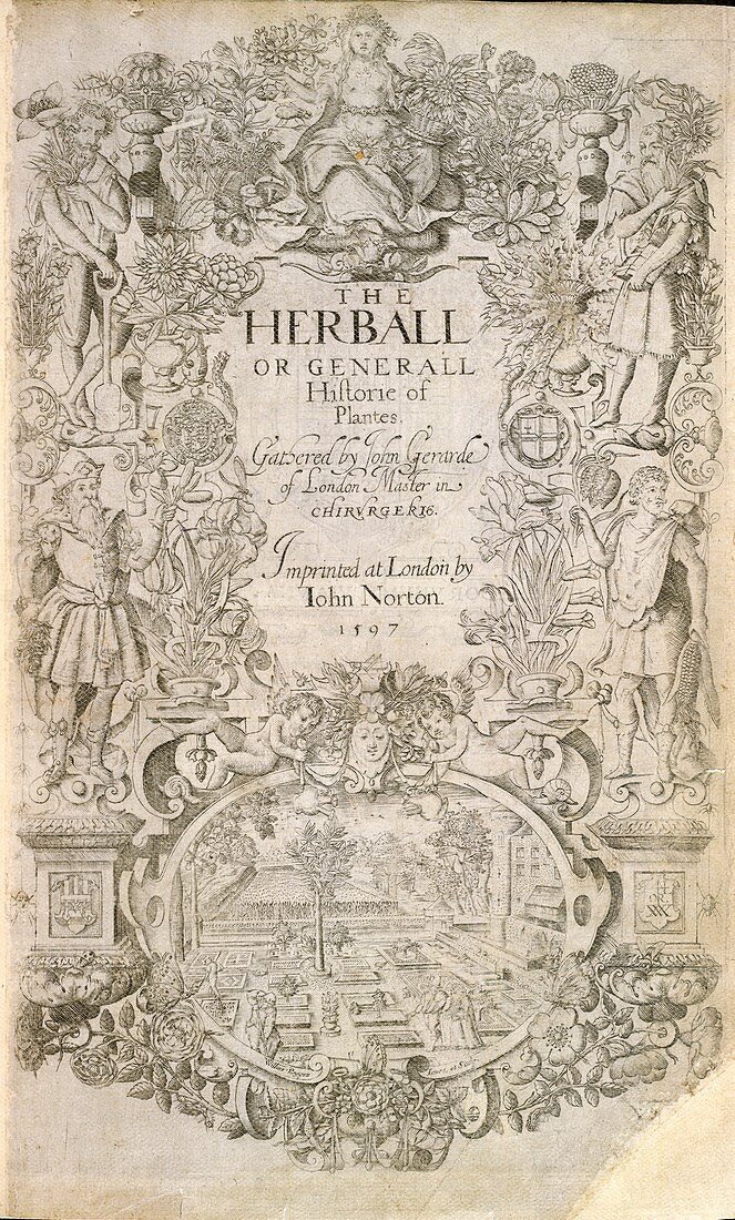 Gerard's Herbal (1597)