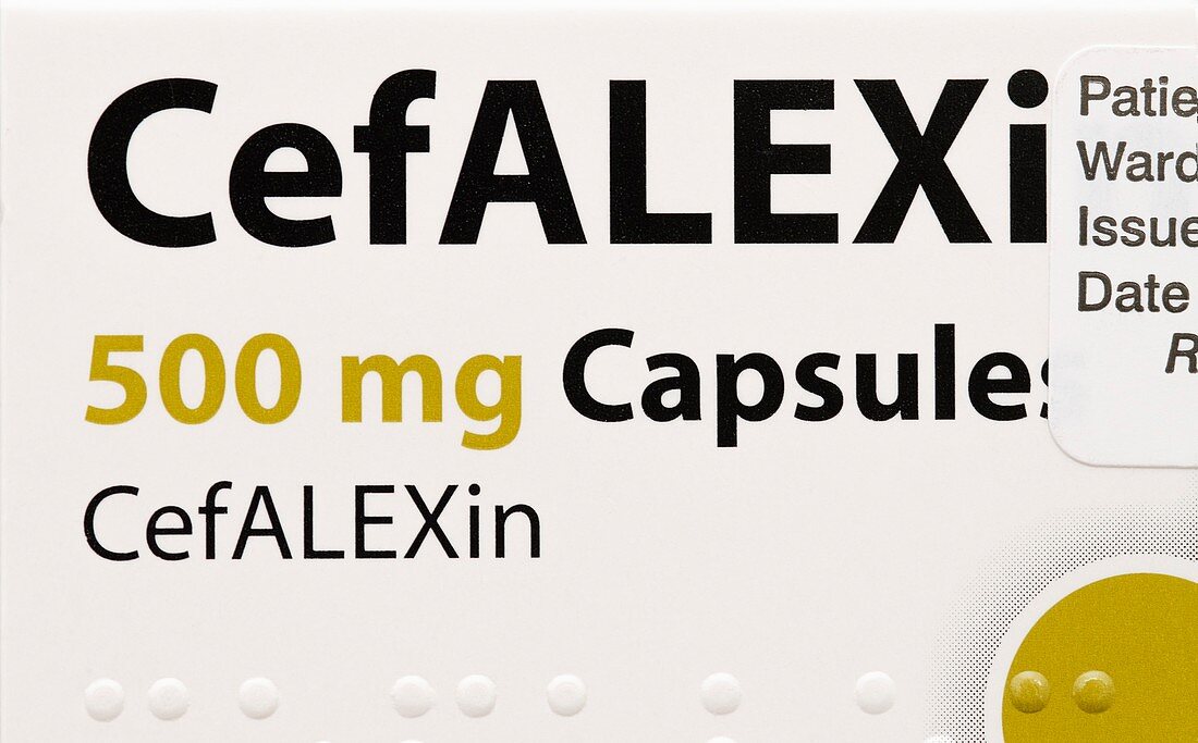 Cefalexin antibiotic drug
