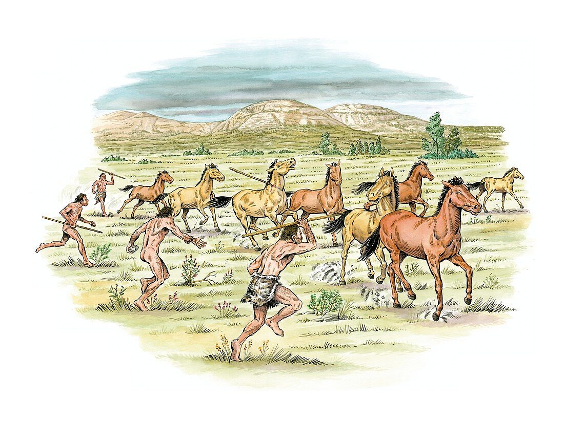 Palaeolithic horse hunting,artwork