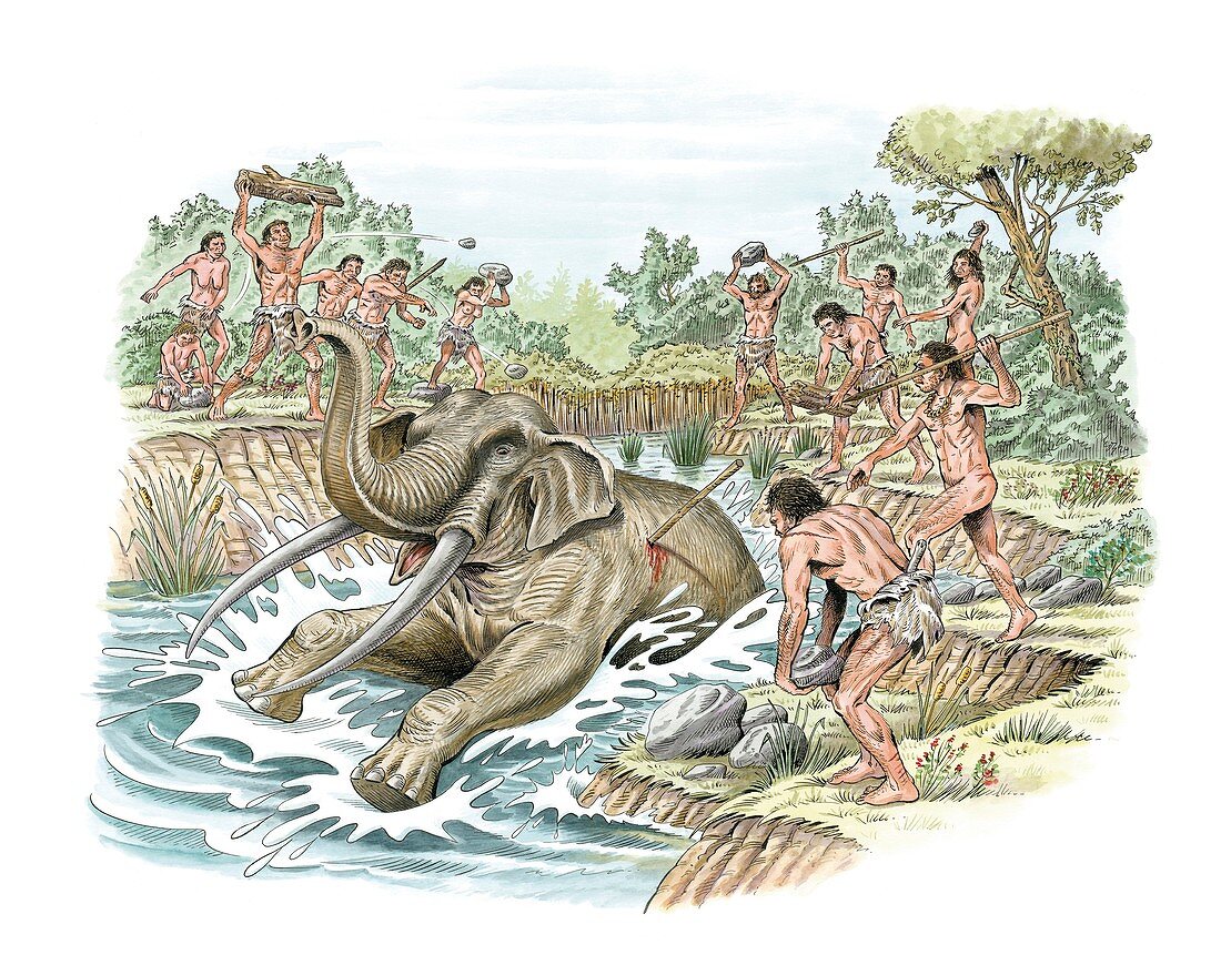 Palaeolithic elephant hunting,artwork