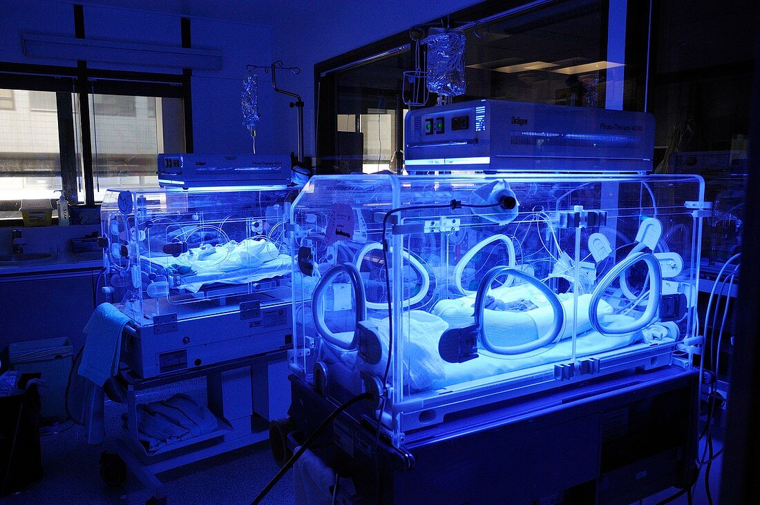 Premature baby phototherapy