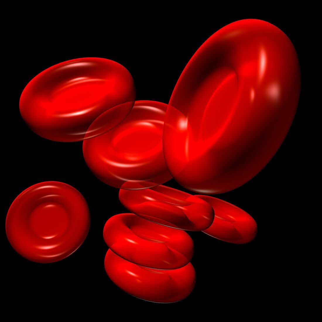 Red blood cells,artwork