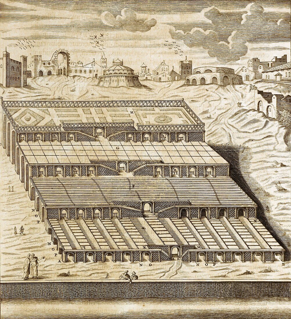 Hanging Gardens of Babylon,1679 artwork