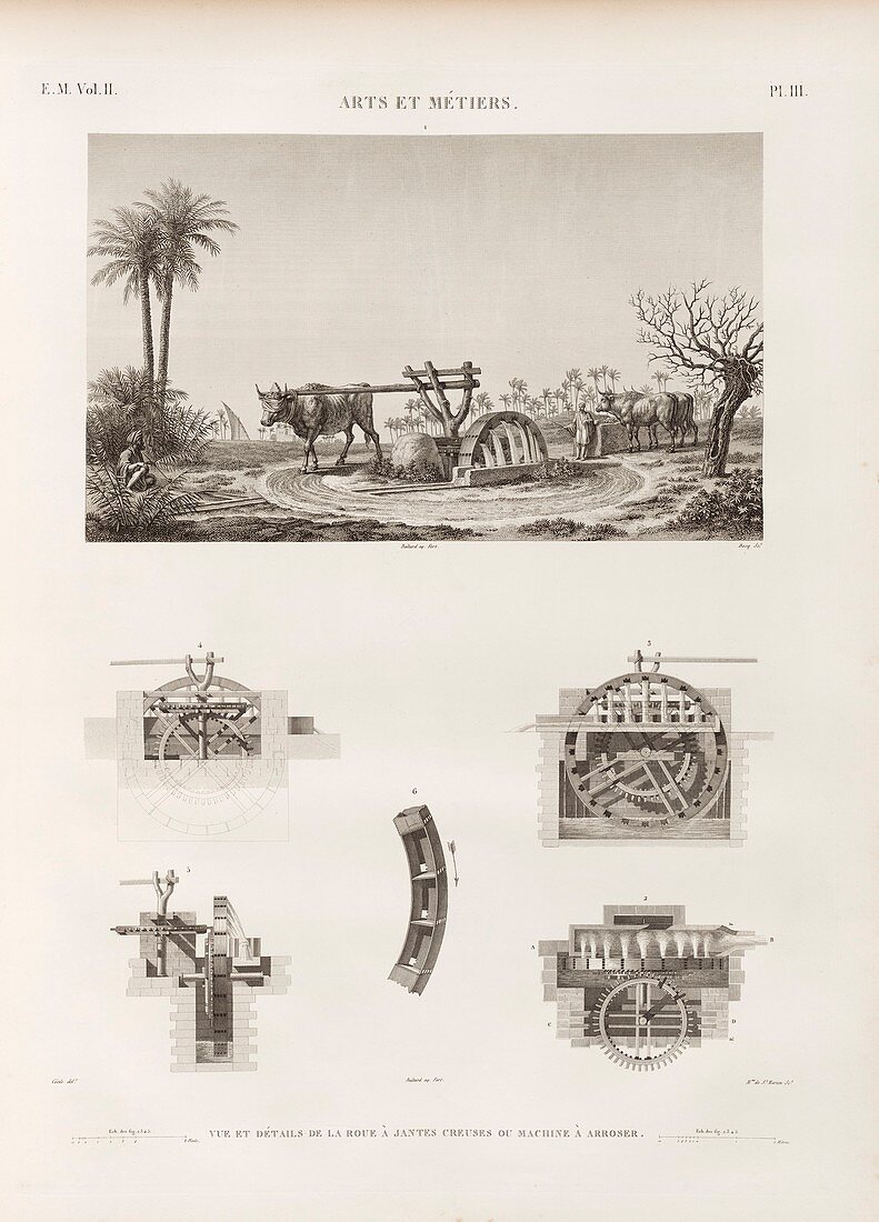 Water wheel in Egypt,1817