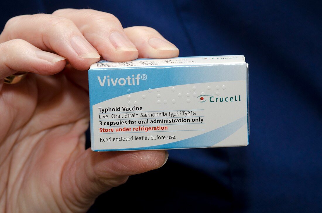 Pack of Vivotif capsules