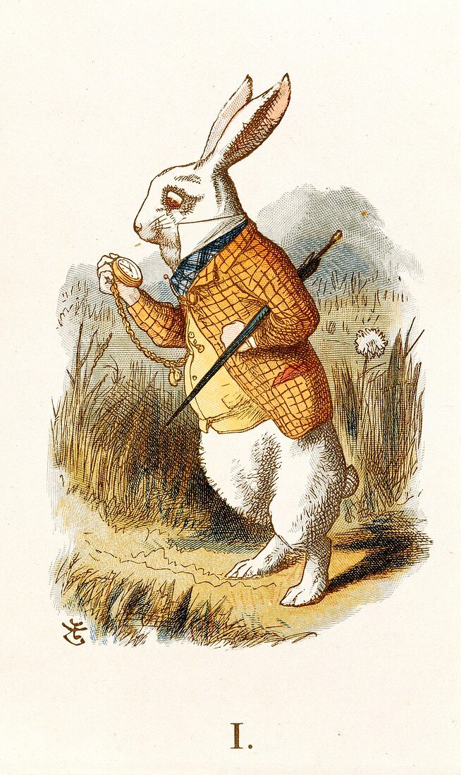 The White Rabbit,Nursery 'Alice' (1890)
