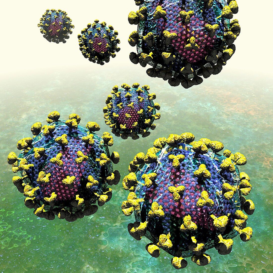 HIV particles,artwork
