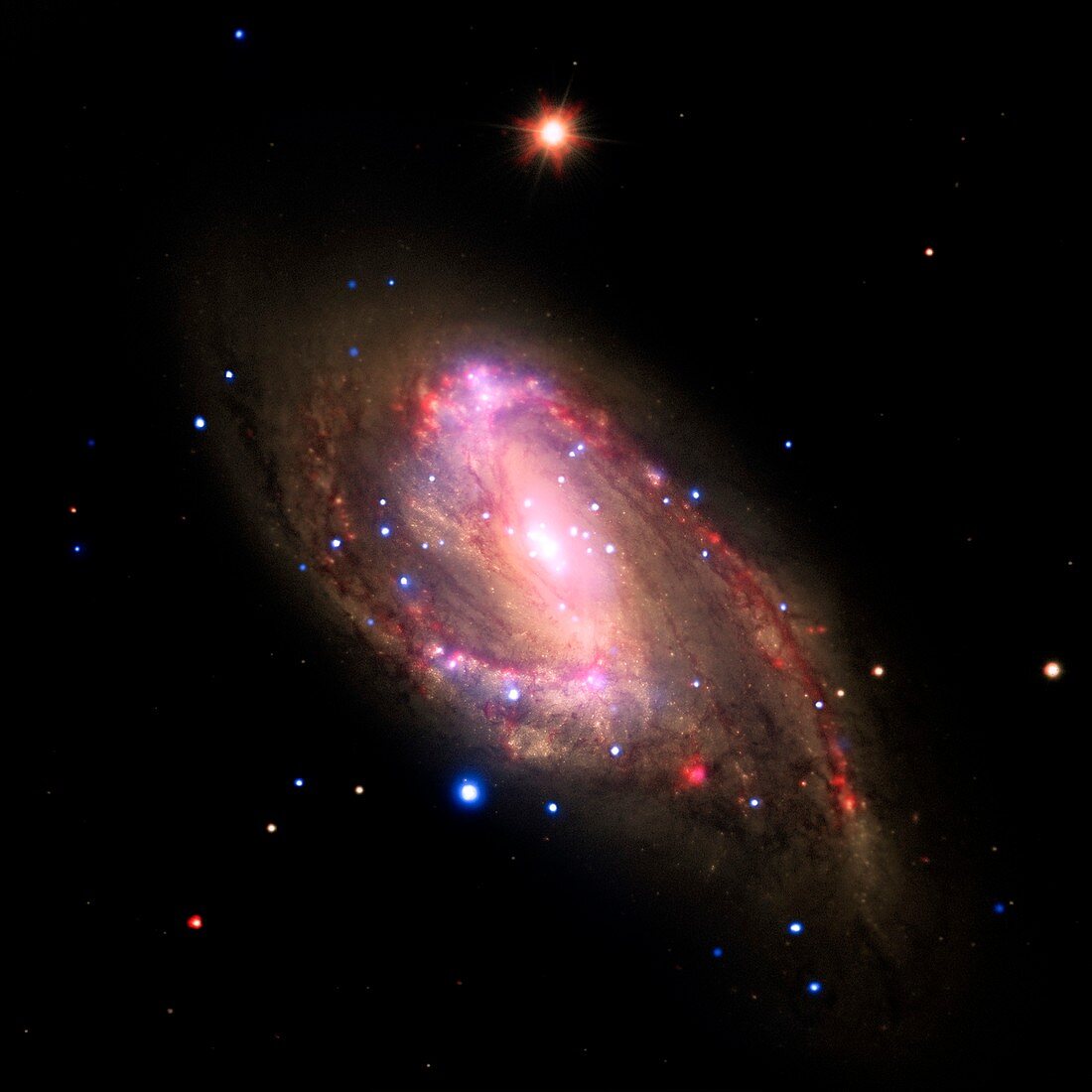 Spiral galaxy NGC 3627,composite image