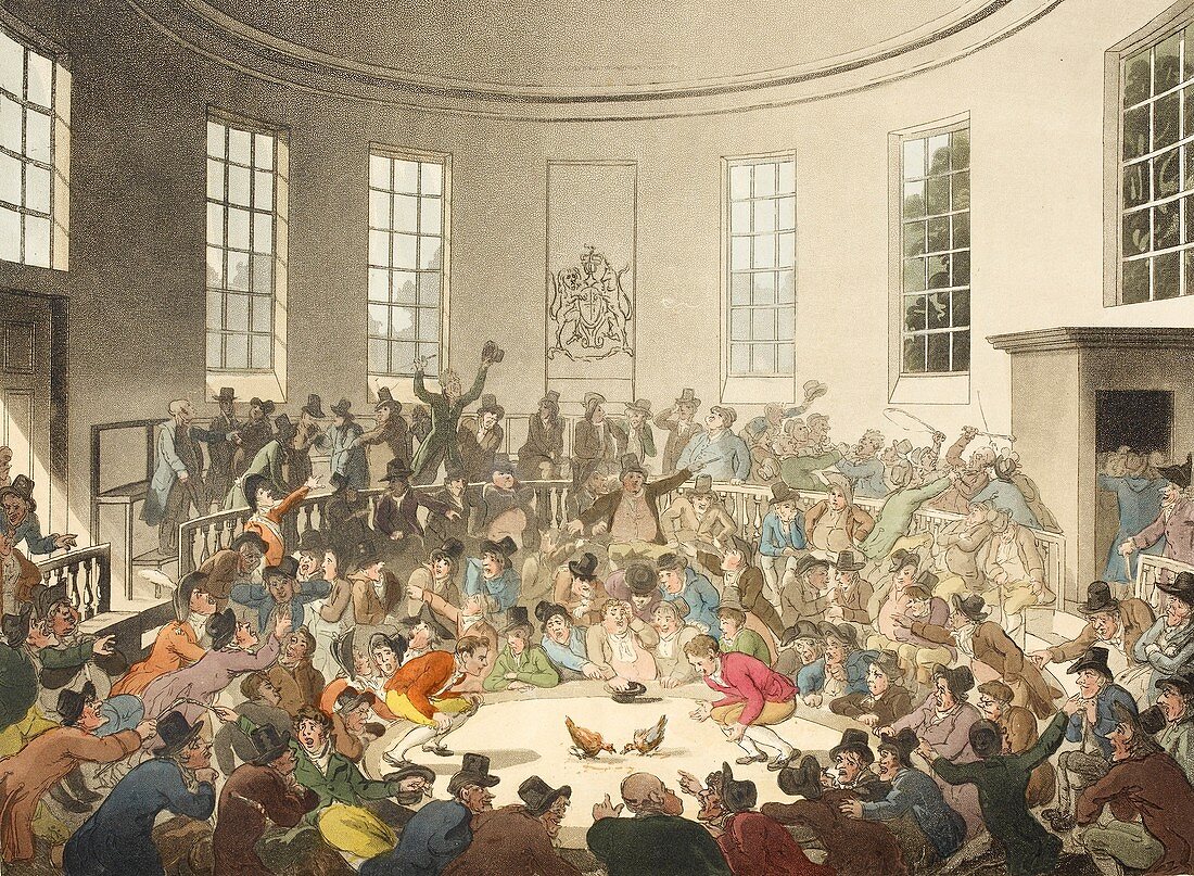 Cockfighting in London,1808