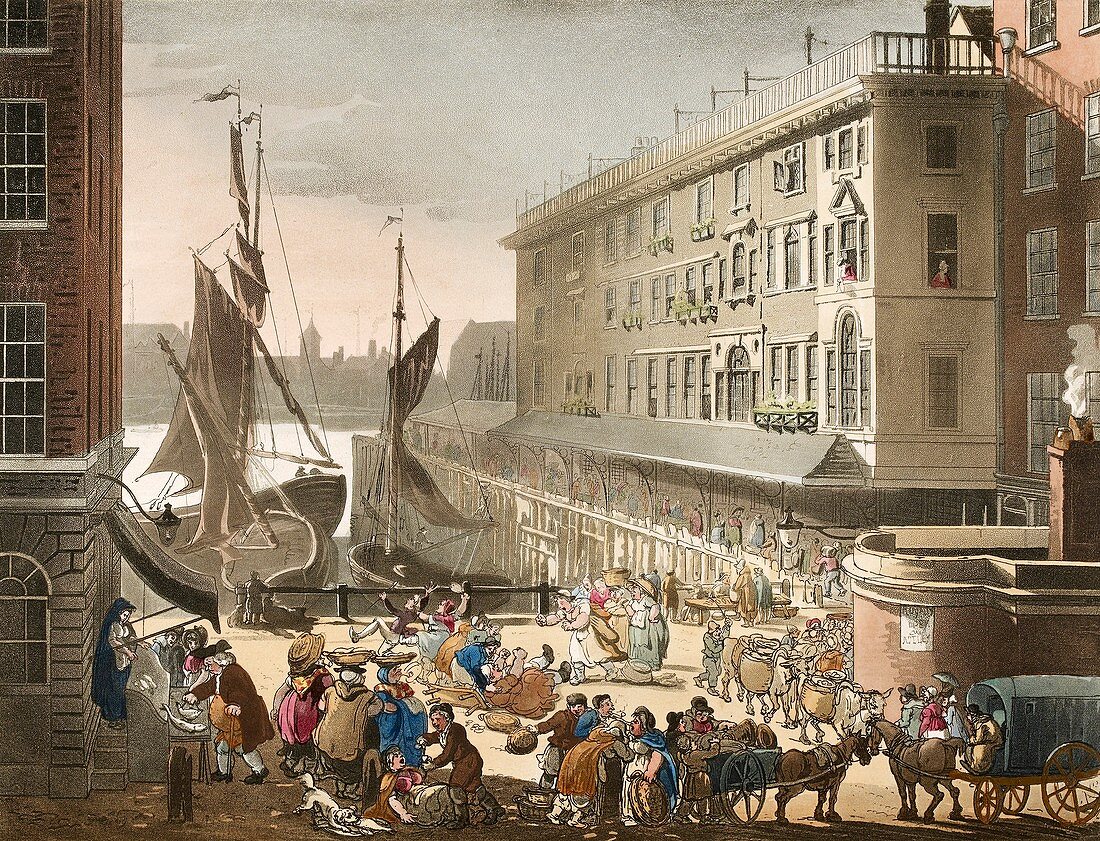 Billingsgate Fish Market,1808