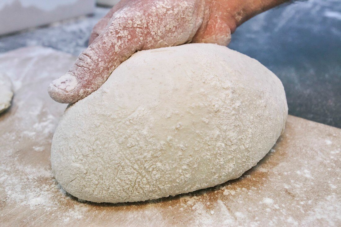 bread dough rises