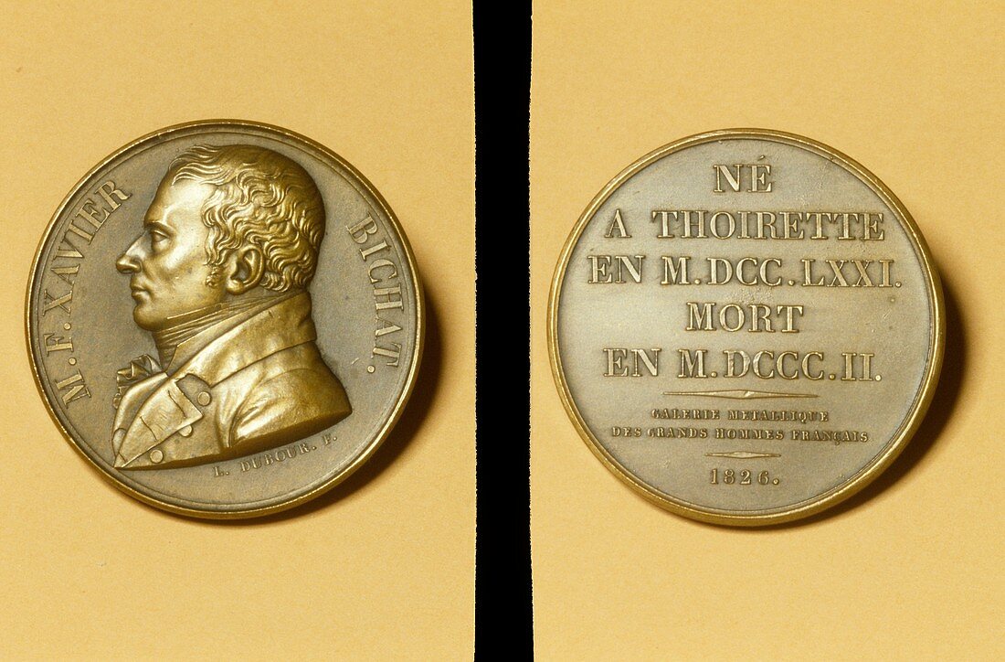 Medallion commemorating Xavier Bichat