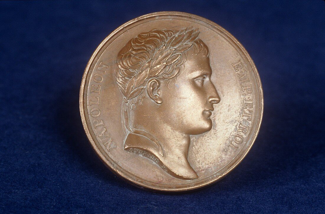 Medallion of Napoleon,19th century