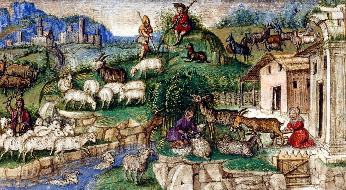 Pastoral scenes,15th century