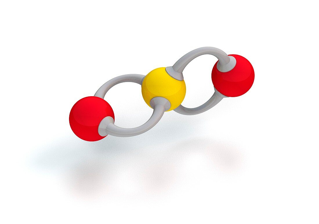 Sulphur dioxide molecule,artwork