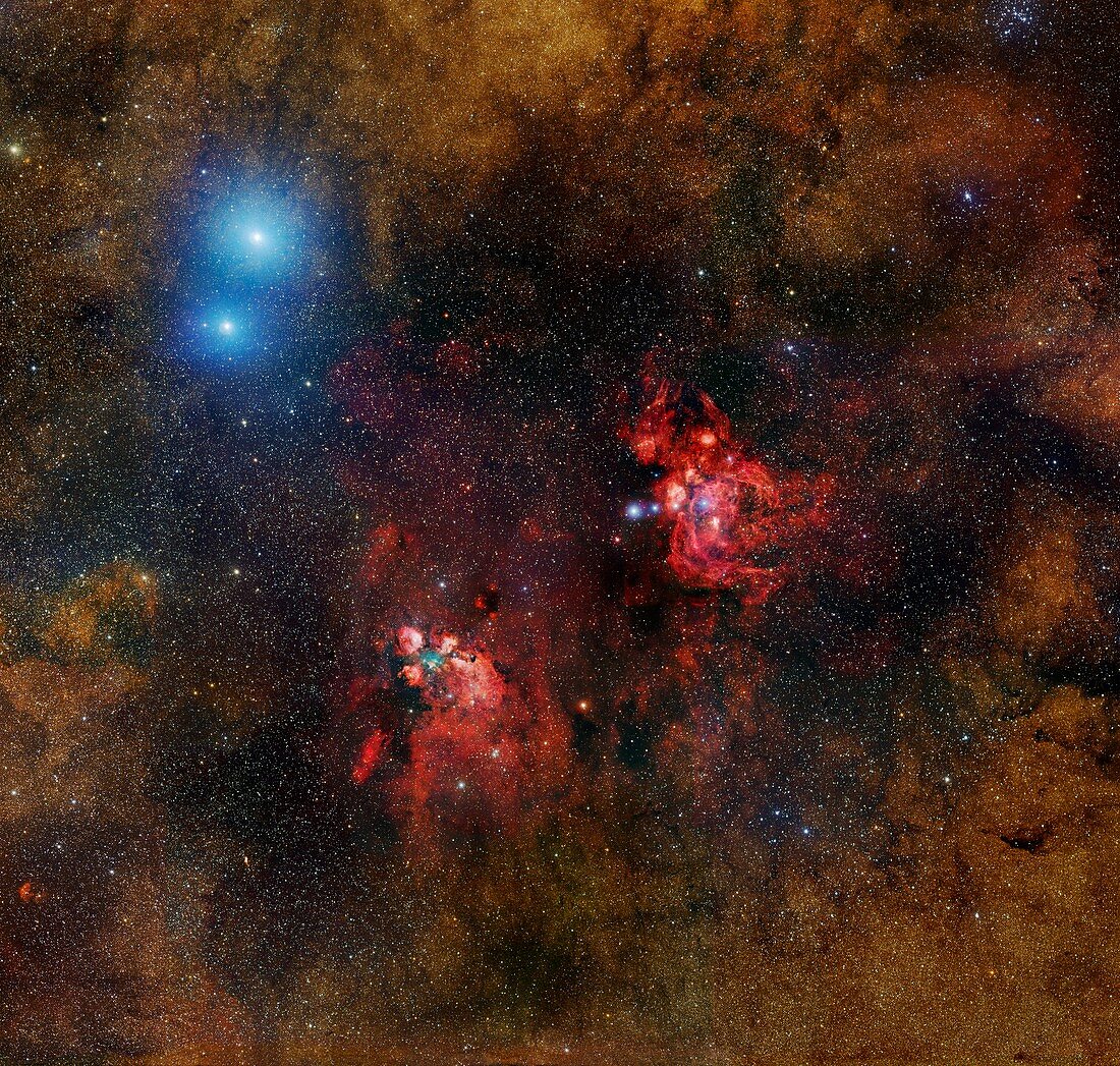 Cat's Paw nebula,optical image