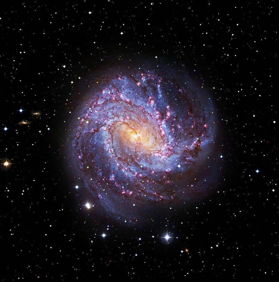 Southern Pinwheel Galaxy,Hubble image