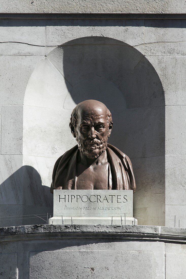 Bust of Hippocrates