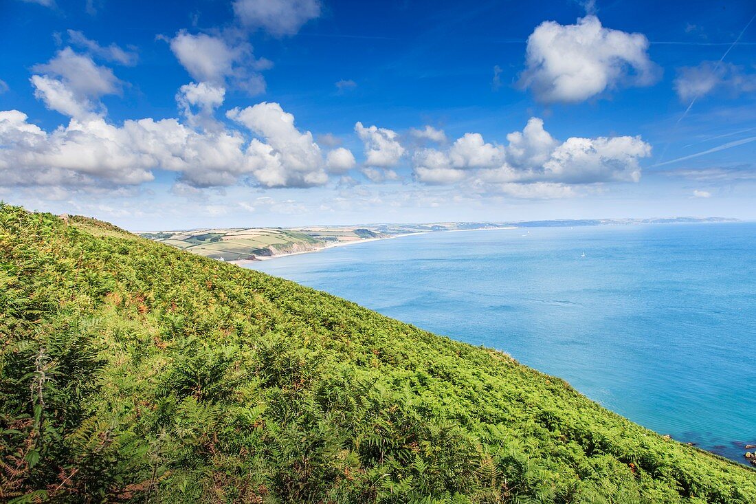 British Coast line,South Devon