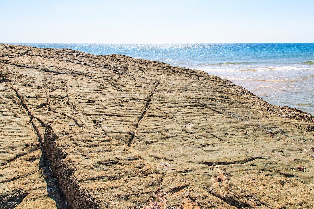 South Devon,coastal rocks