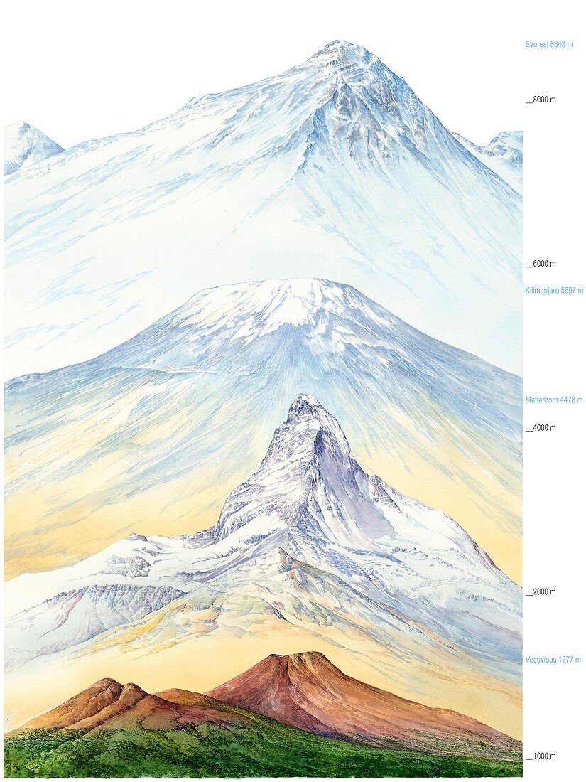 Mountain sizes,artwork