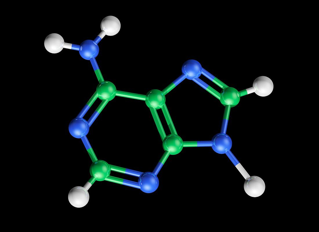 Adenine molecule,artwork