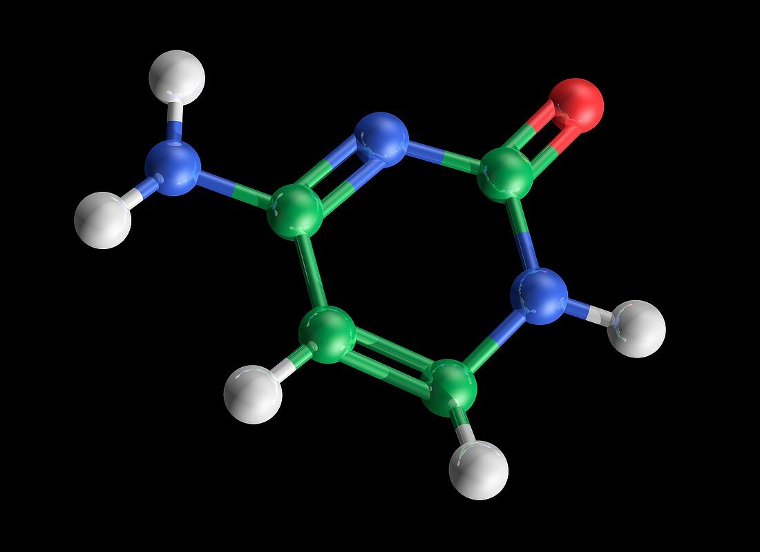 Cytosine molecule,artwork