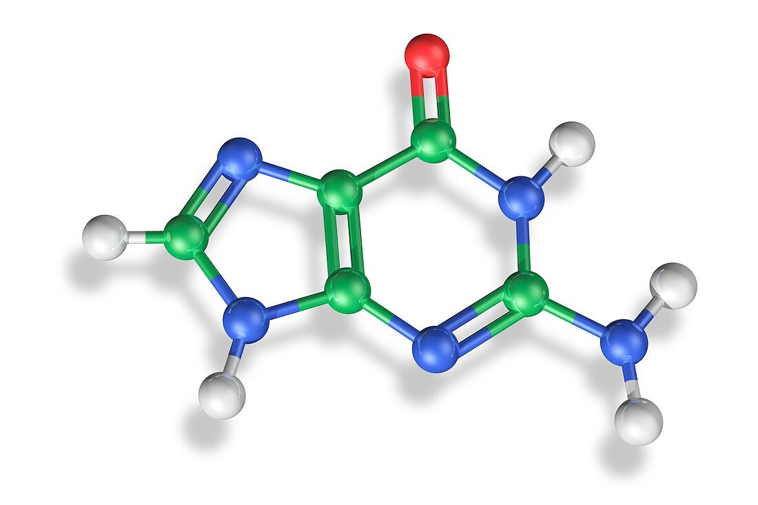 Guanine molecule,artwork