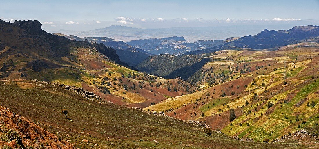 Bale Mountains foothills,Ethiopia