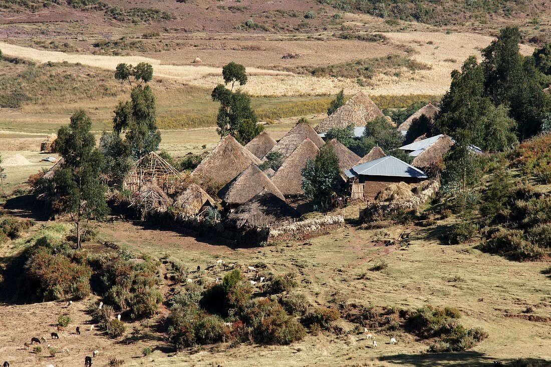 Rural settlement,Ethiopia