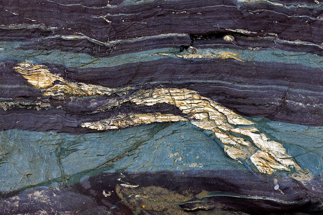 Devonian slates