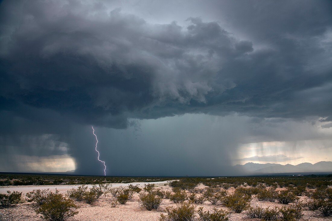 Thunderstorm,Arizona,USA