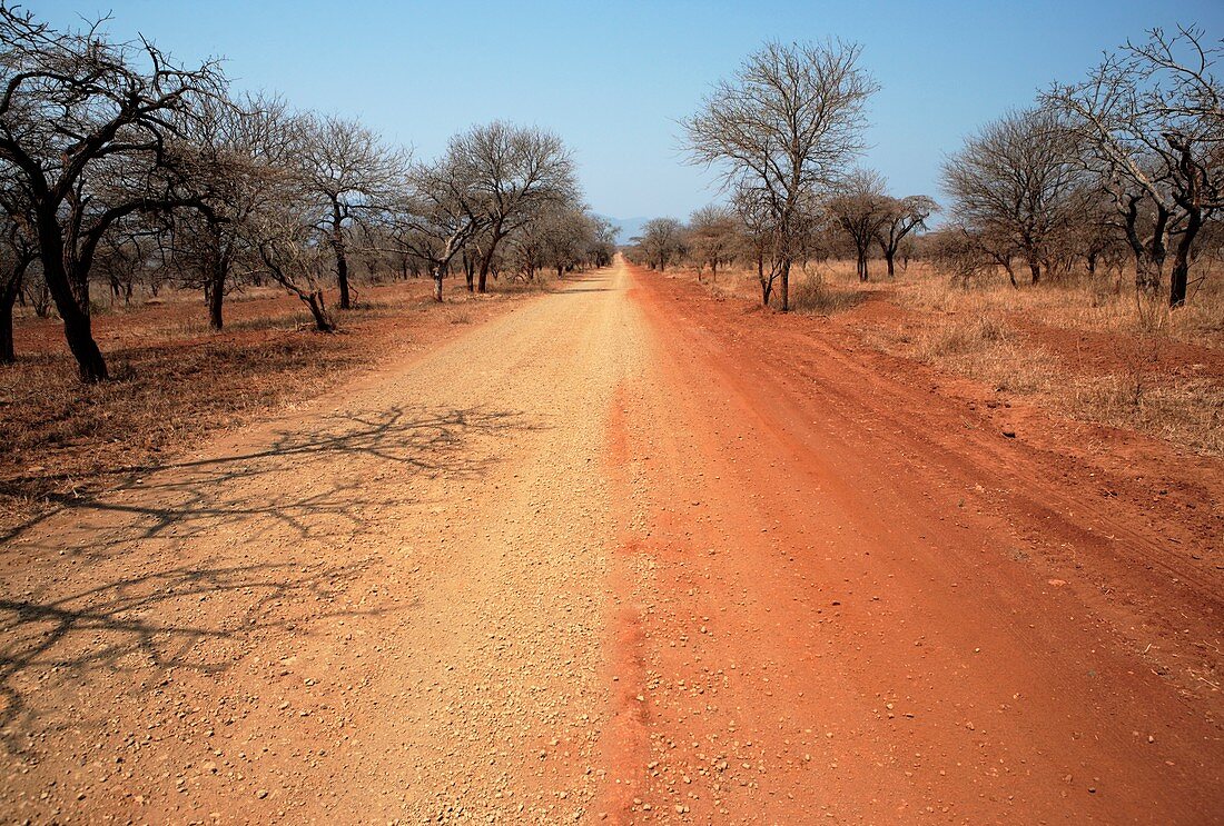 Pongola Game Reserve