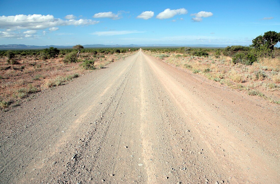 Karoo,South Africa