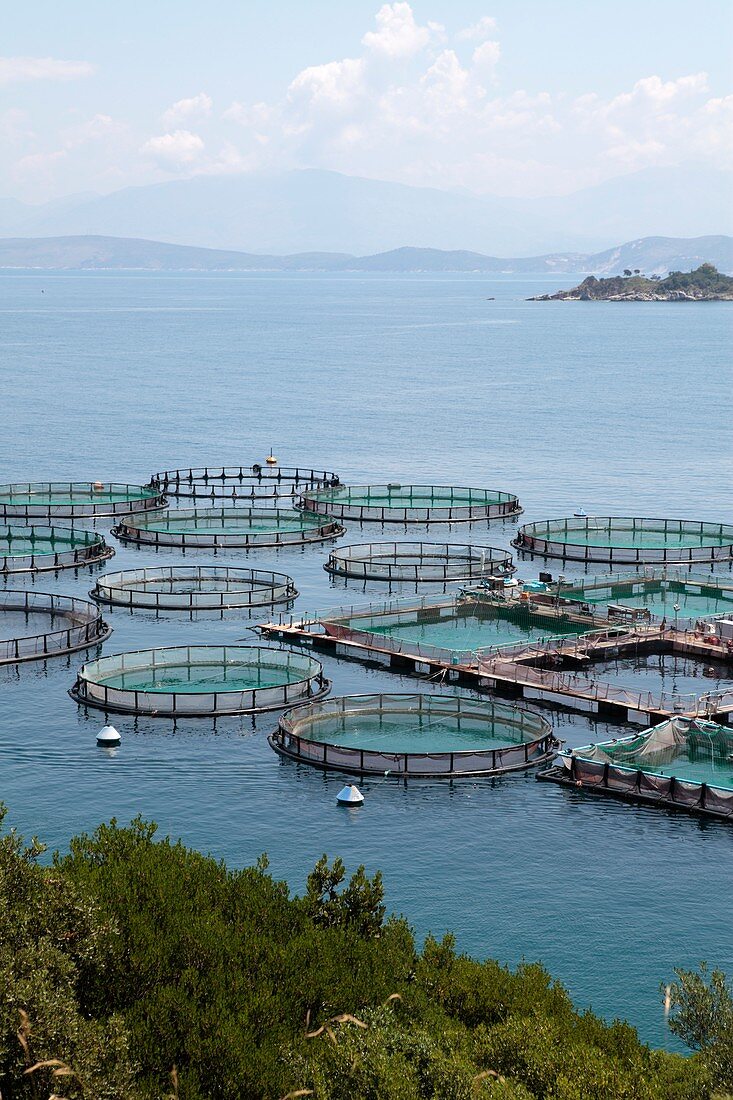 Fish farm,Corfu,Greece