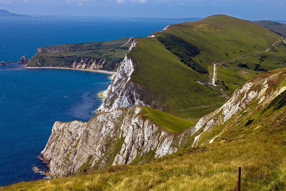 Dorset chalk cliffs