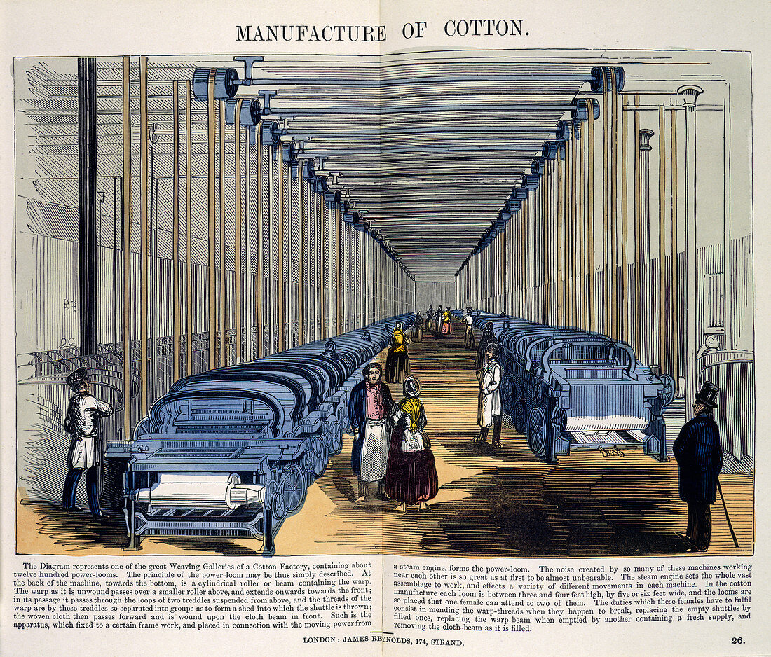 Manufacture of Cotton