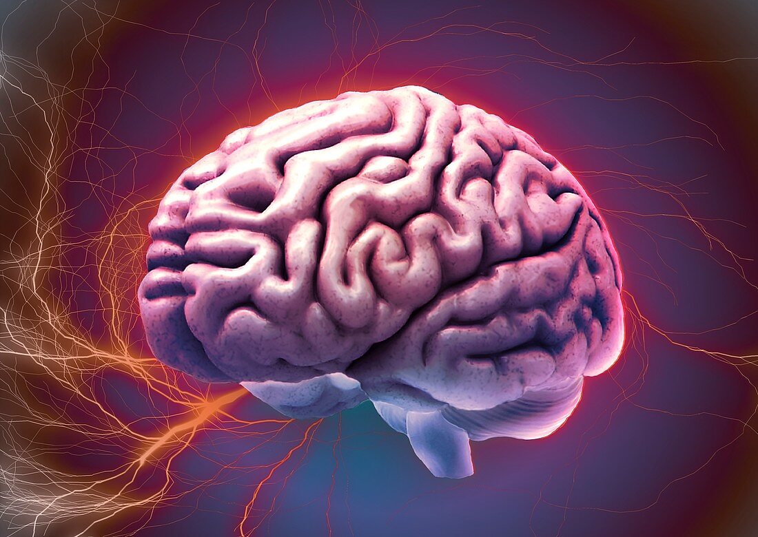 Brain activity,composite image