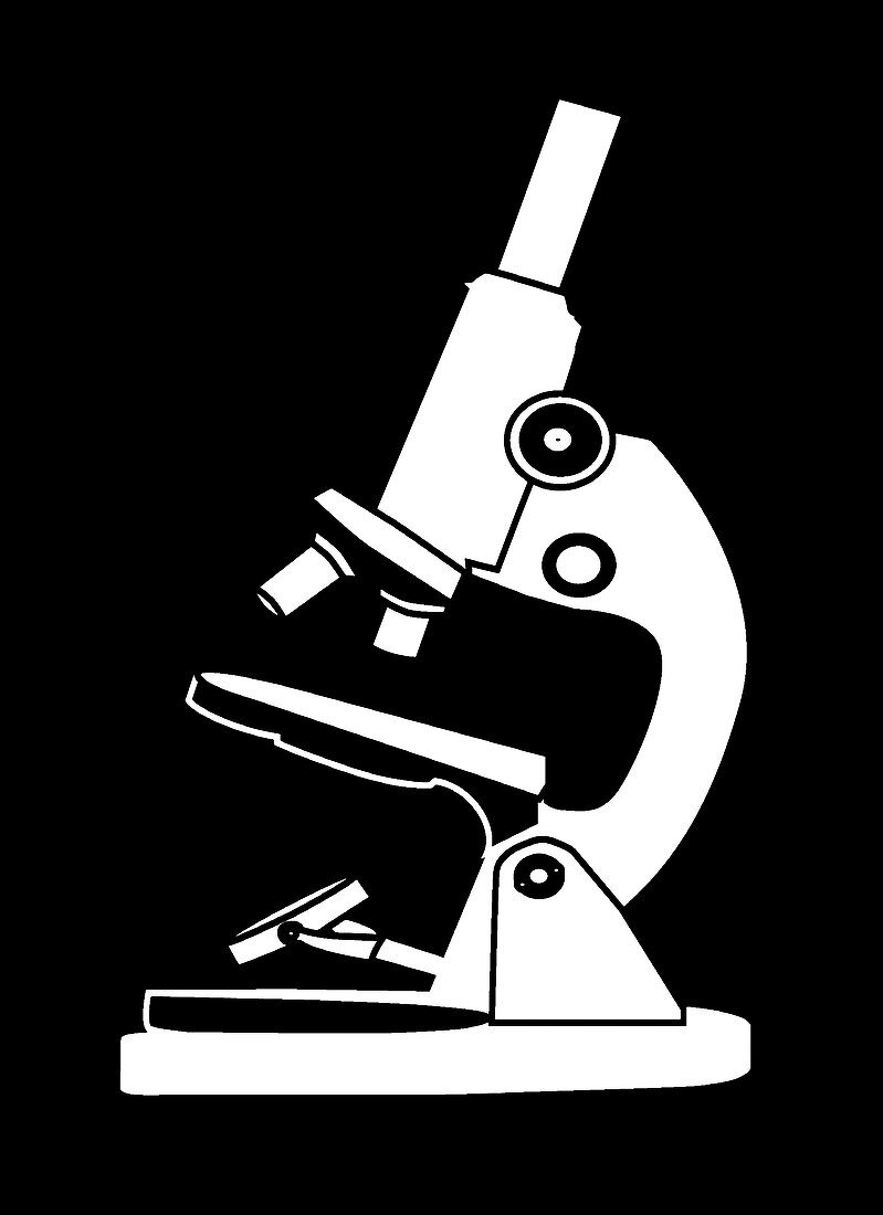 Light microscope,illustration