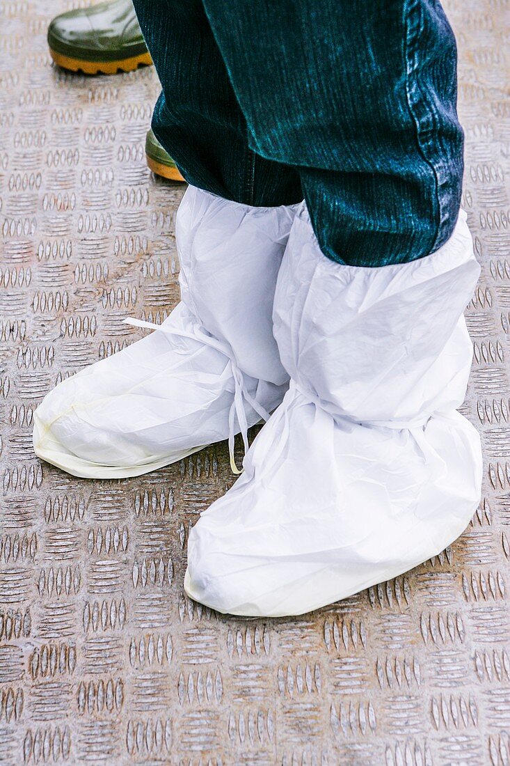 Disposable Protective overboots