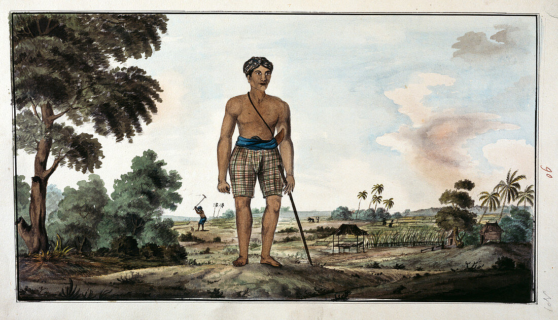 An agricultural worker