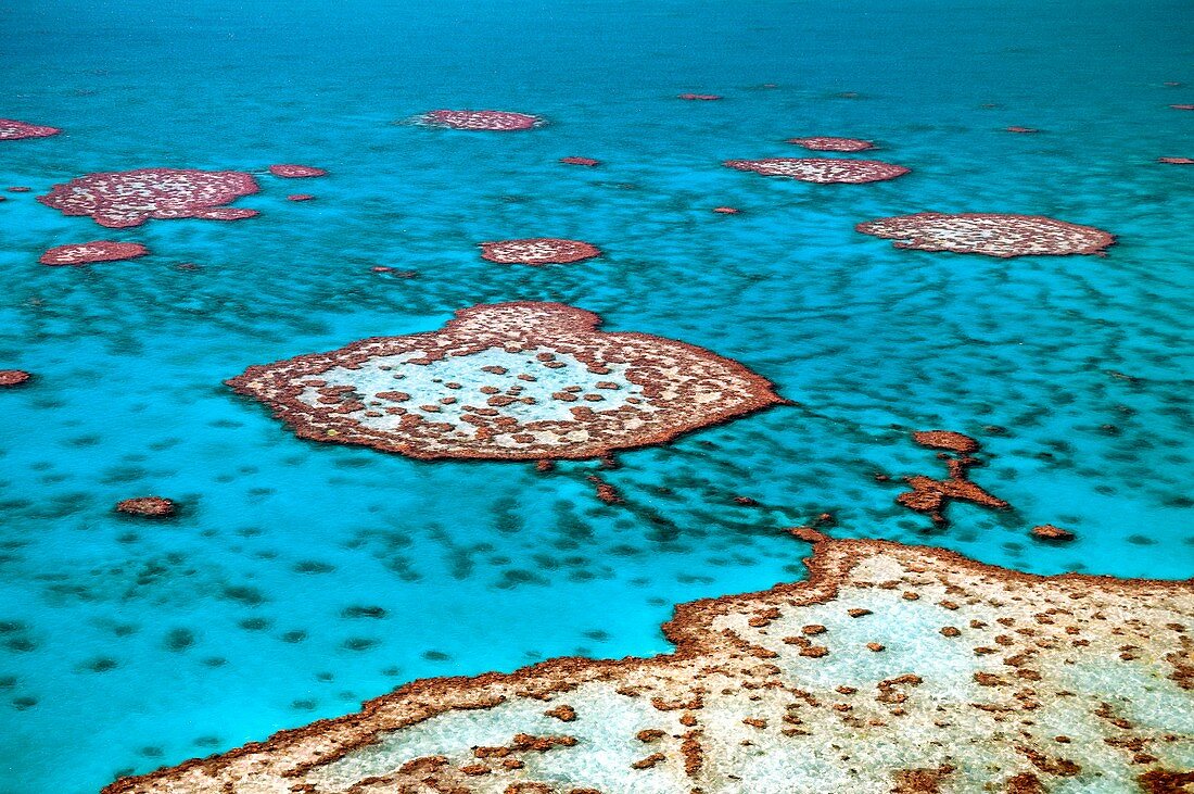 Great Barrier Reef,Australia