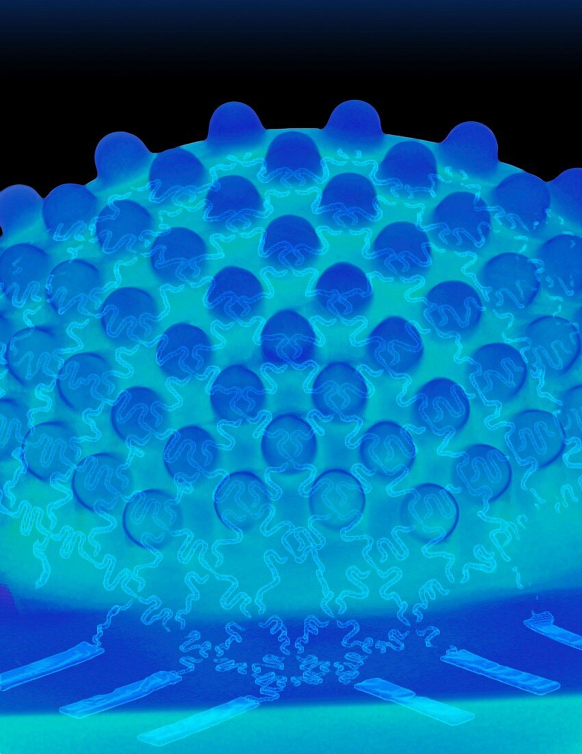Electronic compound eye,3D CT image
