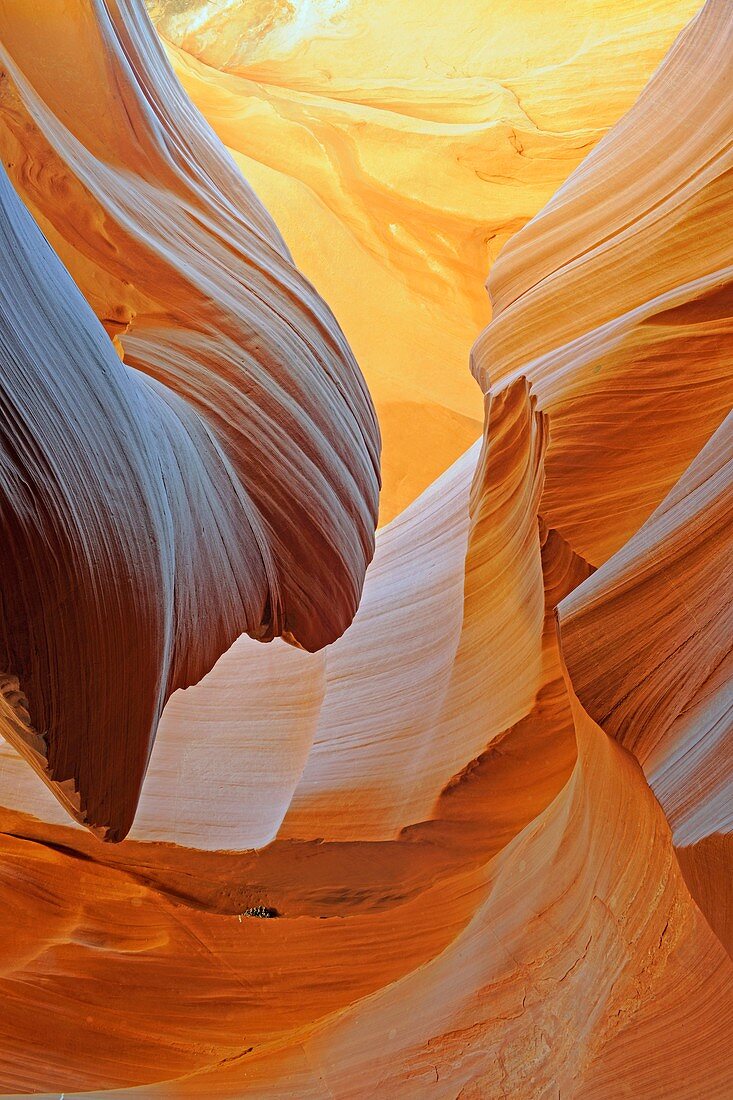 Antelope Canyon,Arizona,USA